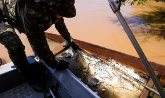 Projeto que combate pesca predatória em MT é aprovado na Assembleia Legislativa
