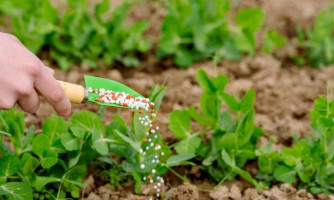 Sedec apresenta alternativas para produção de fertilizantes em MT nesta quarta-feira (21)