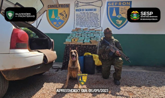 Gefron da prejuízo de mais de 1 milhão ao tráfico de drogas