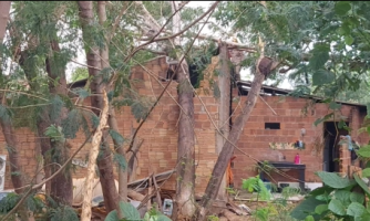 Fortes ventos derrubam árvore sobre casa em Pontes e Lacerda