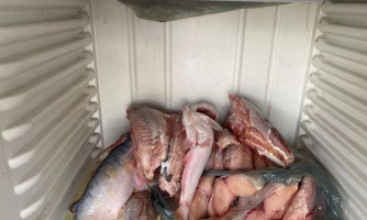 Pescadores são multados em R$ 17,9 mil por pesca predatória, em Cáceres
