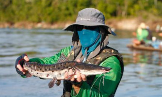 Governo publica decreto que altera a Lei da Pesca em MT; confira