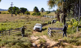 Governo de MT aplicou R$ 478 milhões em multas por crimes ambientais de janeiro a abril