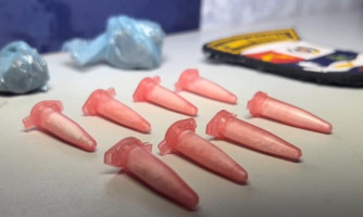 Delivery de drogas:Duas pessoas são detidas com cocaína no centro da cidade