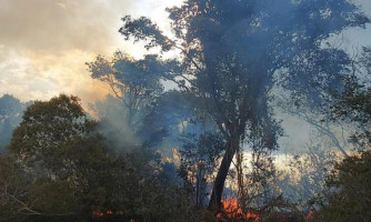 Destruição no Pantanal mato-grossense aumenta 1.800% neste ano