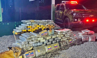 Tráfico de Drogas: Gefron aprende mais de 150 kg de drogas na região de fronteira