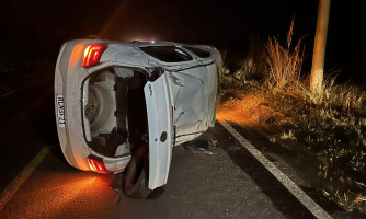 Animal  na pista provoca acidente de trânsito na Br-174, em Pontes e Lacerda