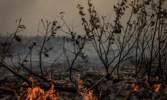 Bolívia pede ajuda ao Brasil para combate a incêndios florestais; Itamaraty avalia pedido