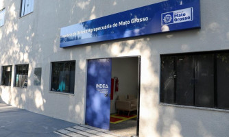 Indea confirma caso de raiva bovina em Porto Estrela