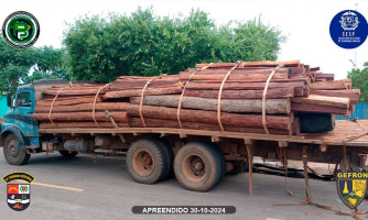 3 pessoas são detidas com caminhão carregado de madeira ilegal em Jauru