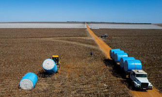 PIB de Mato Grosso registra a maior variação percentual do país e cresce mais de 1.230% em 20 anos