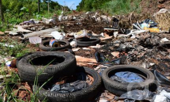 Com mais de 3 mil registros, Cáceres é a segunda cidade de MT com mais casos de dengue. 8 já morreram em Pontes e Lacerda