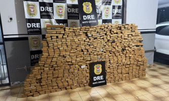 Forças de segurança apreenderam 41,2 toneladas de drogas em 2024