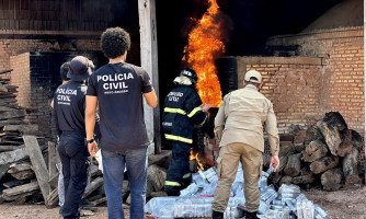 Polícia Civil realiza incineração de entorpecentes após apreensão recorde em Pontes e Lacerda