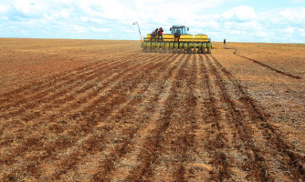 Indea prorroga prazo de cadastramento obrigatório de área cultivada de soja