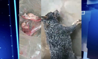 Animais são envenenados na comunidade Ritinha, em Vila Bela