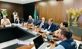 SES reúne Força Nacional do SUS e municípios para planejar estratégias contra dengue e chikungunya