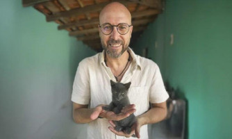 Deputado propõe cassação da CNH para quem abandonar animais em vias públicas em Mato Grosso
