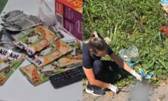 Desembargador cita 'crueldade e frieza' ao negar soltura a acusada de matar gatos