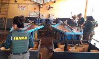 Ibama multa garimpeiros em R$ 20 milhões por uso irregular de mercúrio em MT