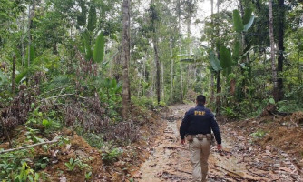 No Dia Mundial do Meio Ambiente, PRF divulga resultados da prevenção e do combate aos crimes ambientais