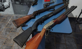 Polícia Militar apreende armas de fogo, munições e prende mulher por porte ilegal