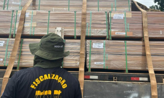 CGE e Indea fortalecem parceria para modernizar a certificação da madeira em Mato Grosso