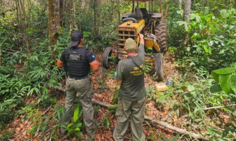 Polícia Civil e Ibama intensificam combate ao desmatamento e apreendem madeira ilegal em Comodoro