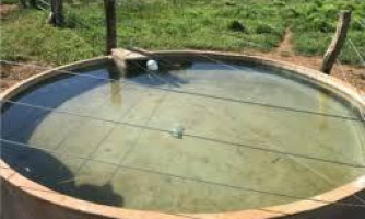 Criança de 3 anos morre após se afogar em bebedouro de gado em fazenda