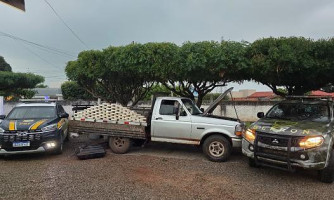 GEFRON e PRF apreendem 78 kg de cocaína em operação na fronteira com a Bolívia
