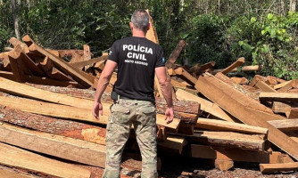 Polícia apreende madeira ilegal durante operação em Comodoro