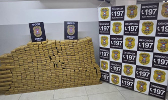 Polícia Civil apreende aproximadamente meia tonelada de maconha em Várzea Grande