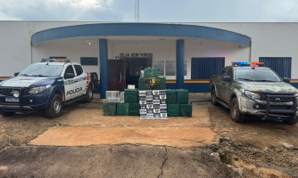 Mais de 500 quilos de drogas são apreendidos em ação conjunta na Gleba Zambamm em Comodoro