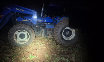 São Domingos: trabalhador rural morre após ataque de enxame de abelhas em propriedade