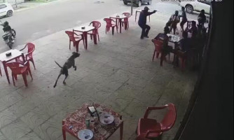 Jovem condenado pelo 