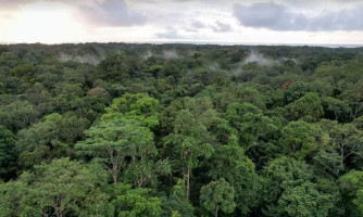 UIRAPURU: STF suspende demarcação de terra indígena em MT por falta de indenização a proprietários