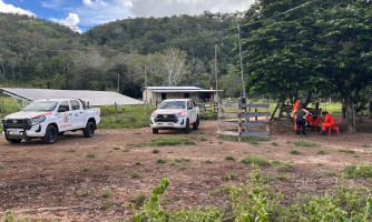 Mulher desaparecida na mata: buscas podem ter reforço de Cuiabá