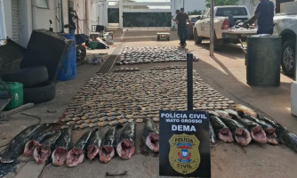 Pesca predatória: Polícia fecha esquema de compra e venda ilegal de pescado