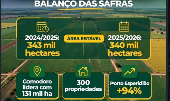 Sudoeste de MT mantém força no plantio de soja e área fica estável na safra 2025/2026*