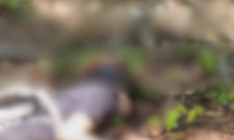 O que se sabe sobre o assassinato de kauã em Vila Bela?