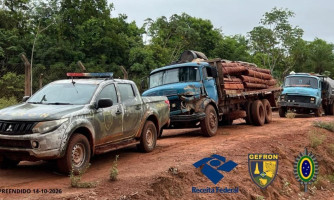 Pontes e Lacerda: Operação na fronteira apreende carga de aroeira avaliada em R$ 123 mil