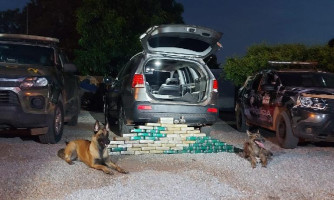 Cães farejadores encontram cocaína em “Mocó ” de carro na cidade de Cáceres