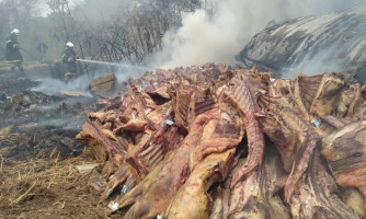Carreta que transportava carne tomba e carga é saqueada em Cáceres