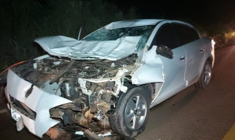 Cavalo solto provoca acidente na BR 174B em Pontes e Lacerda
