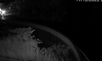Criminoso rouba caminhonete de idoso e capota durante fuga