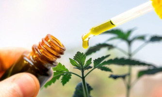Deputados aprovam PL que autoriza distribuição de remédios à base de canabidiol em MT