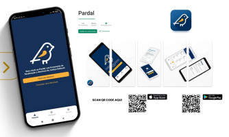 Eleitores podem denunciar irregularidades via aplicativo Pardal