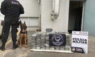 Forças policiais apreendem quase 214 kg de cocaína avaliados em mais de R$ 5,3 milhões que saiu de Pontes e Lacerda