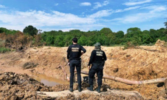 Garimpo: PF busca quadrilha envolvida em extração ilegal de ouro em MT, SP e PA