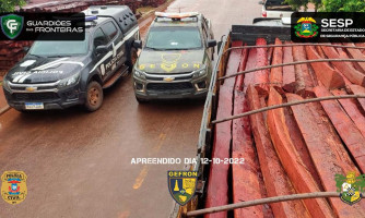 Gefron apreende 744 de lascas de aroeira em Vila Bela da Santíssima Trindade